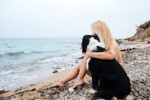 Best pet care in Owen Sound