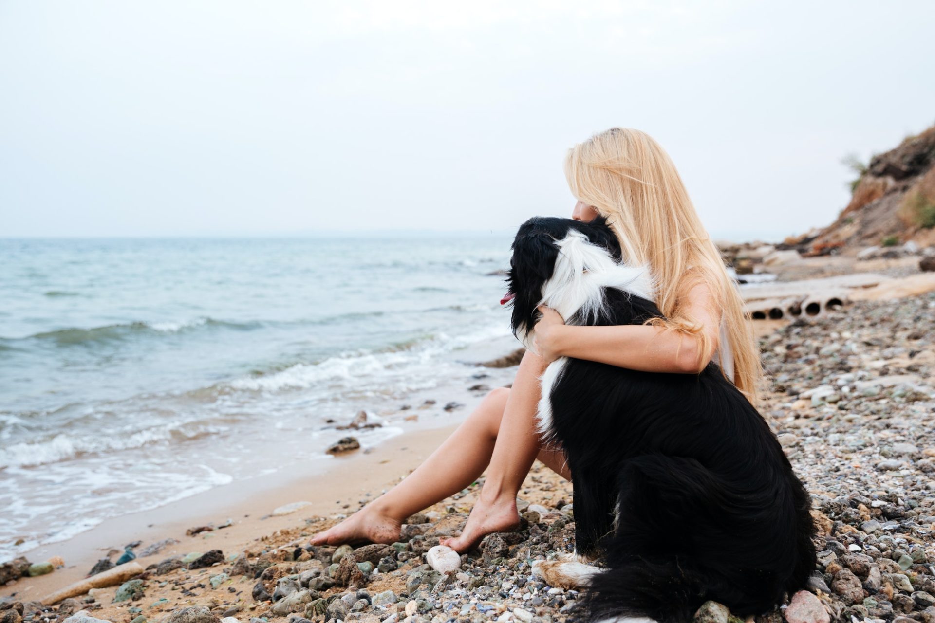 Best pet care in Owen Sound