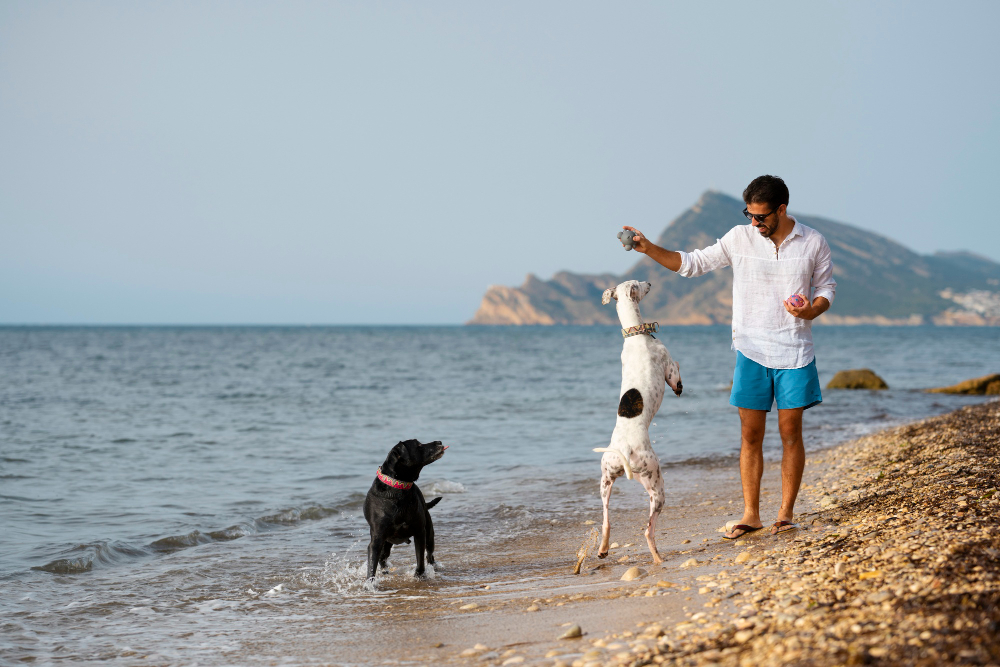 Veterinarian Near Sauble Beach