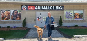 Experienced veterinary team at Georgian Bluff Animal Clinic Bruce County.”