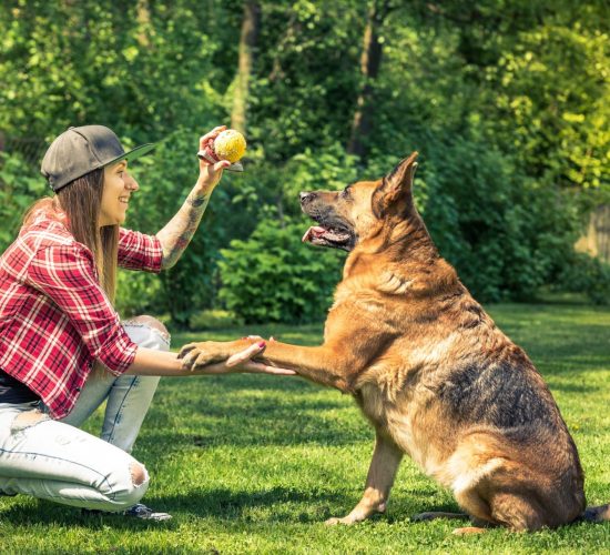 woman-and-dog-friendship-owner-and-pet.jpg